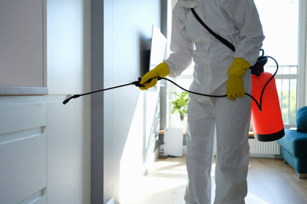 Best Toxic Mold Removal  in Narberth, PA
